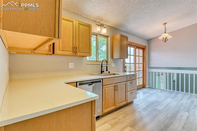 MLS Image for 7335  Woody Creek  ,Colorado Springs, Colorado
