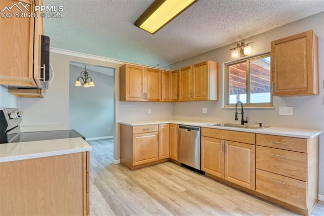 MLS Image for 7335  Woody Creek  ,Colorado Springs, Colorado