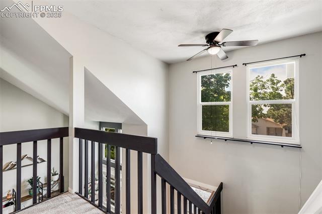 MLS Image for 5720  Gunshot Pass  ,Colorado Springs, Colorado