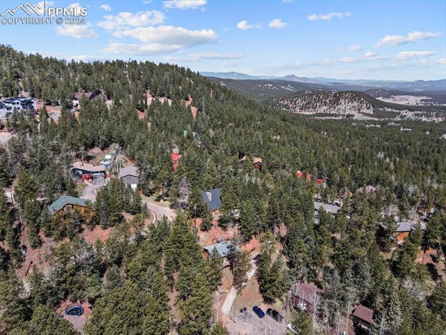 MLS Image for 1320 W Lorraine  ,Woodland Park, Colorado