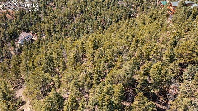 MLS Image for 2255  Elk Park  ,Larkspur, Colorado