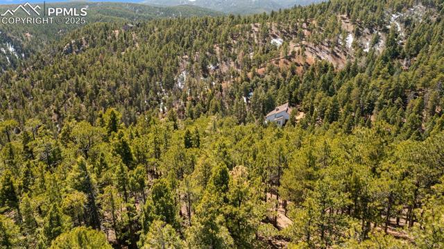 MLS Image for 2255  Elk Park  ,Larkspur, Colorado
