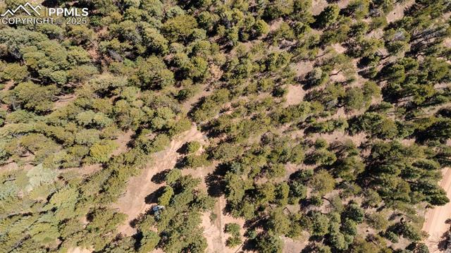 MLS Image for 2255  Elk Park  ,Larkspur, Colorado