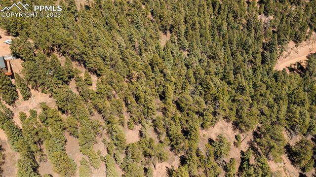MLS Image for 2255  Elk Park  ,Larkspur, Colorado