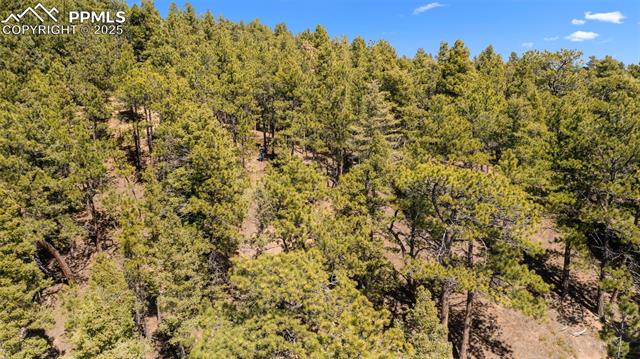 MLS Image for 2255  Elk Park  ,Larkspur, Colorado