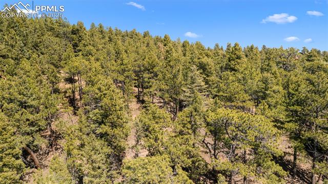 MLS Image for 2255  Elk Park  ,Larkspur, Colorado
