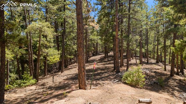 MLS Image for 2255  Elk Park  ,Larkspur, Colorado