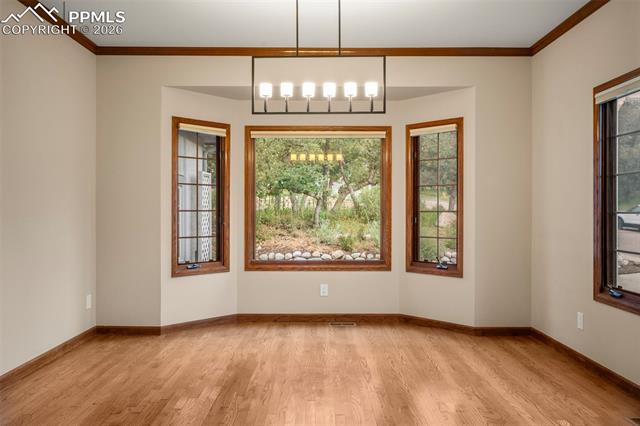 MLS Image for 2845  Halleys  ,Colorado Springs, Colorado