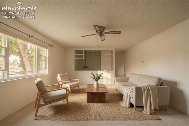 MLS Image for 4718  Misty  ,Colorado Springs, Colorado