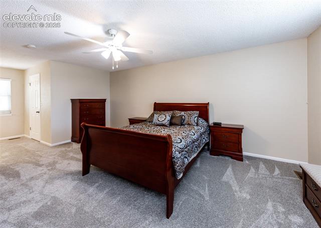 MLS Image for 174  Tamarron  ,Colorado Springs, Colorado