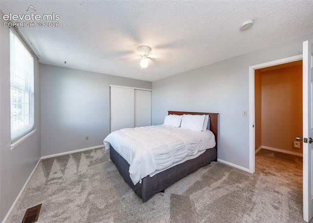 MLS Image for 174  Tamarron  ,Colorado Springs, Colorado