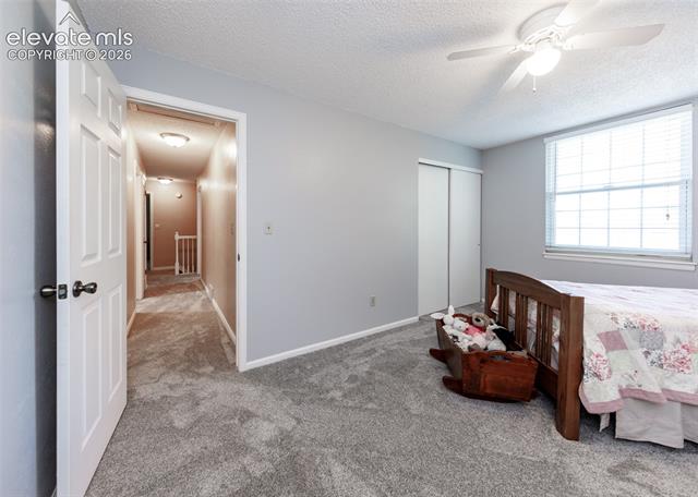 MLS Image for 174  Tamarron  ,Colorado Springs, Colorado