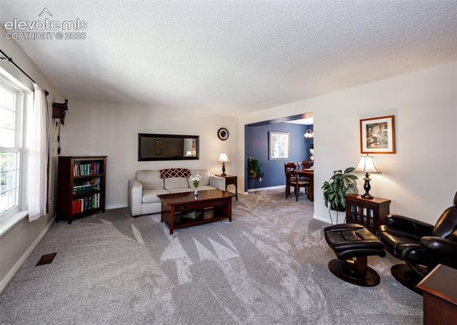 MLS Image for 174  Tamarron  ,Colorado Springs, Colorado