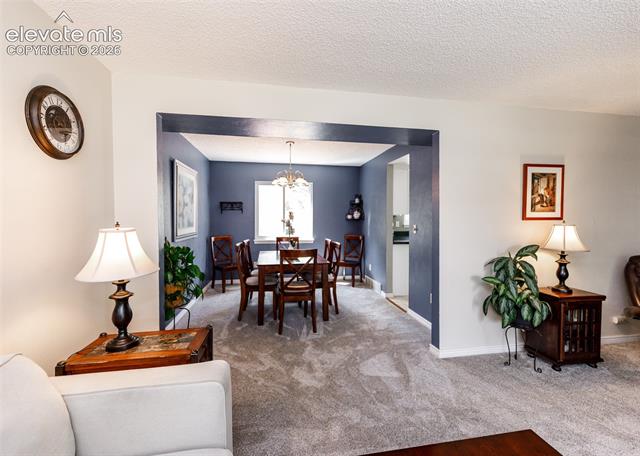 MLS Image for 174  Tamarron  ,Colorado Springs, Colorado