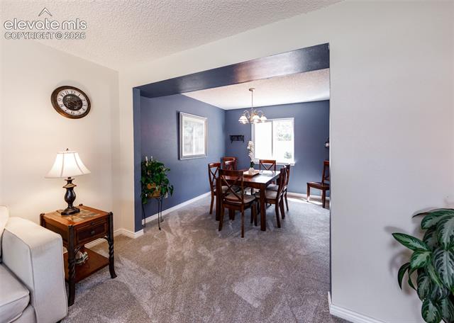 MLS Image for 174  Tamarron  ,Colorado Springs, Colorado