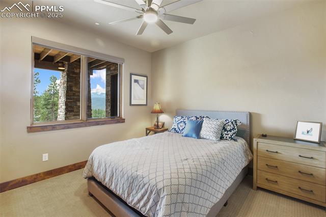 MLS Image for 290  Thunder Ridge  ,Woodland Park, Colorado