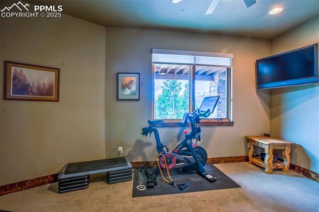 MLS Image for 290  Thunder Ridge  ,Woodland Park, Colorado