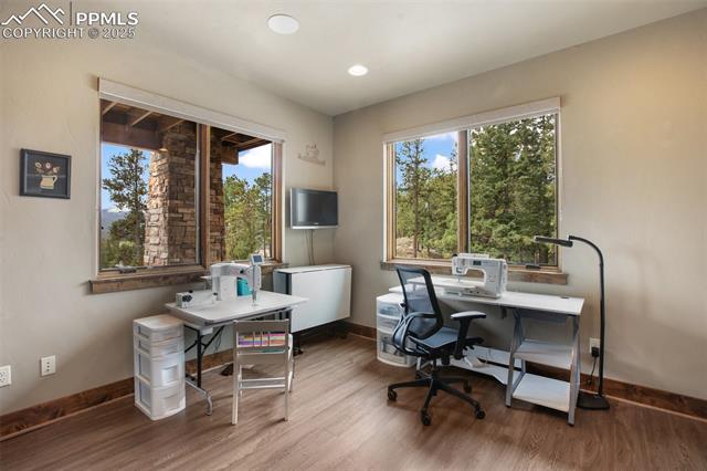 MLS Image for 290  Thunder Ridge  ,Woodland Park, Colorado