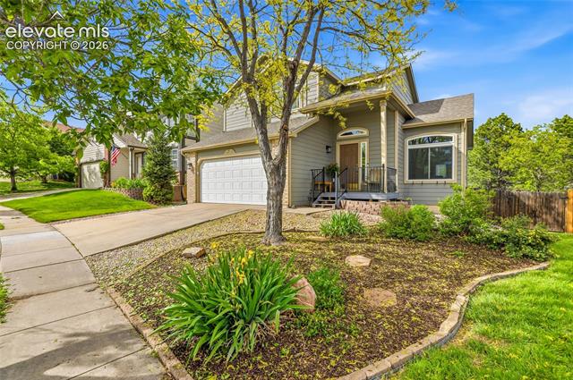 MLS Image for 8714  Massey  ,Colorado Springs, Colorado