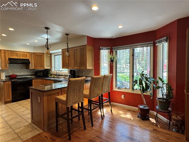 MLS Image for 85 S Sherwood Glen  ,Monument, Colorado