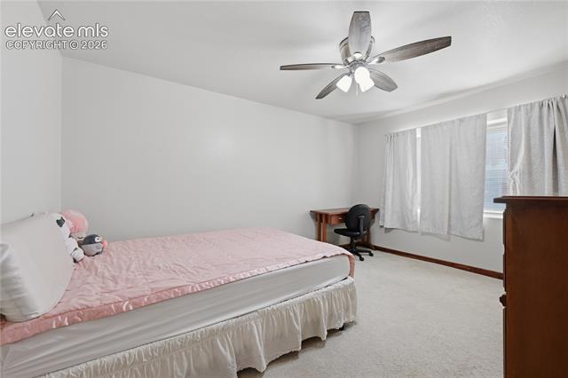 MLS Image for 1113  Browning  ,Woodland Park, Colorado