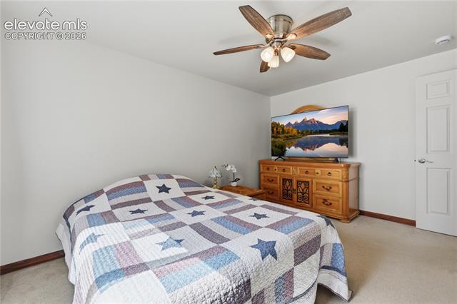 MLS Image for 1113  Browning  ,Woodland Park, Colorado