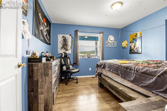 MLS Image for 406  High Pasture  ,Florissant, Colorado