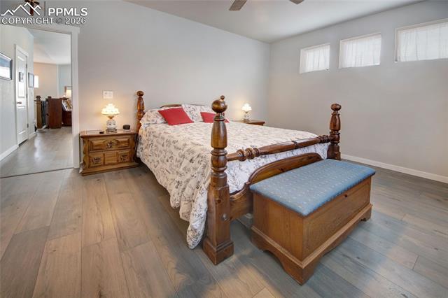 MLS Image for 7303  Rosa Belle  ,Colorado Springs, Colorado