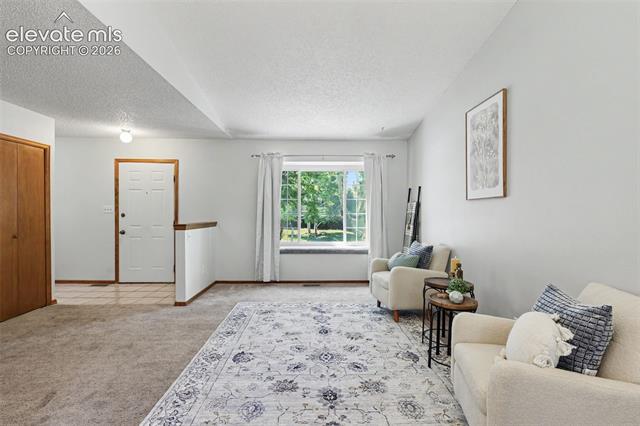 MLS Image for 5056  Iron Horse  ,Colorado Springs, Colorado