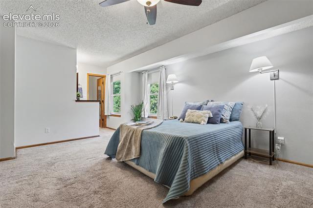 MLS Image for 5056  Iron Horse  ,Colorado Springs, Colorado