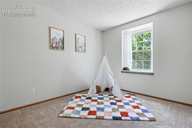 MLS Image for 5056  Iron Horse  ,Colorado Springs, Colorado