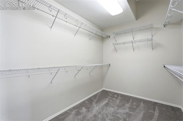 MLS Image for 10744  Rhinestone  ,Colorado Springs, Colorado