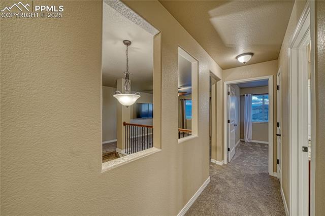 MLS Image for 12630  Chianti  ,Colorado Springs, Colorado