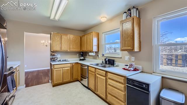 MLS Image for 1345  Marsh Hawk  ,Colorado Springs, Colorado