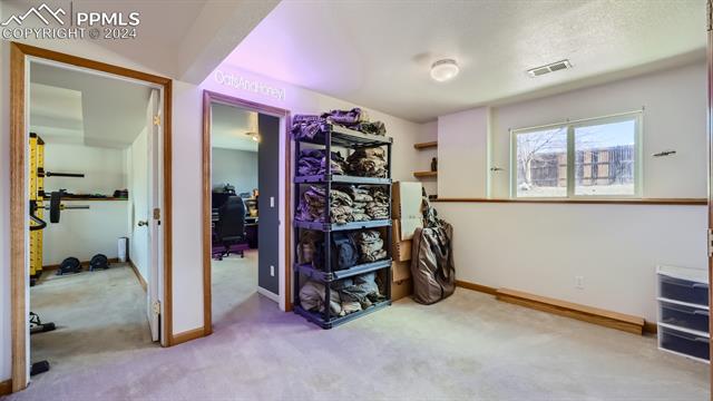 MLS Image for 1345  Marsh Hawk  ,Colorado Springs, Colorado