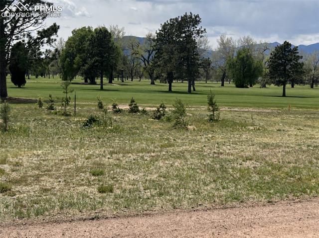 MLS Image for 1159 E Madison  ,Colorado Springs, Colorado
