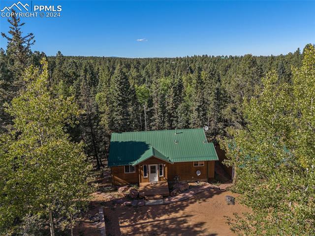 MLS Image for 564  Black Bear  ,Divide, Colorado