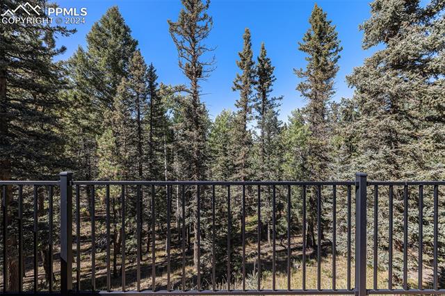 MLS Image for 564  Black Bear  ,Divide, Colorado