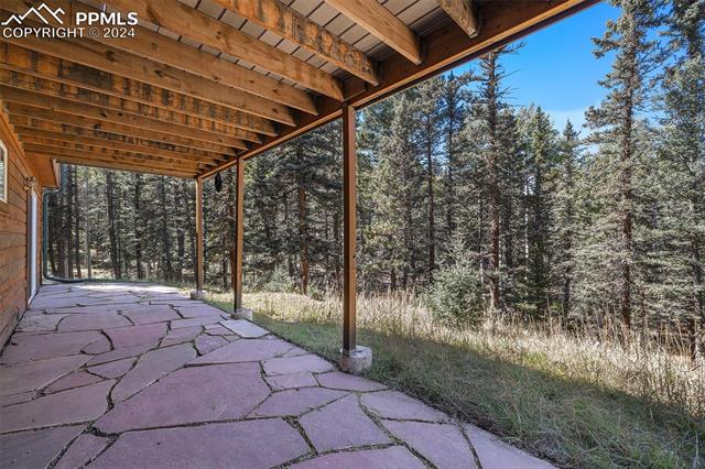 MLS Image for 564  Black Bear  ,Divide, Colorado