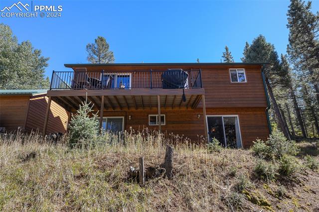 MLS Image for 564  Black Bear  ,Divide, Colorado