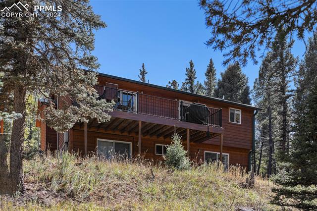 MLS Image for 564  Black Bear  ,Divide, Colorado