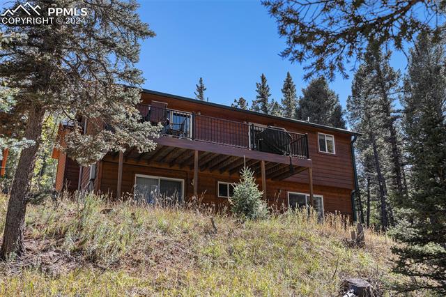 MLS Image for 564  Black Bear  ,Divide, Colorado