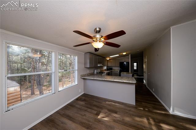 MLS Image for 1641  Kiowa  ,Florissant, Colorado