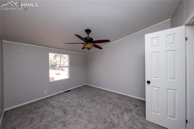 MLS Image for 1641  Kiowa  ,Florissant, Colorado