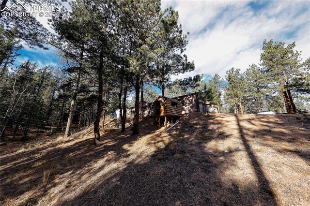 MLS Image for 1641  Kiowa  ,Florissant, Colorado