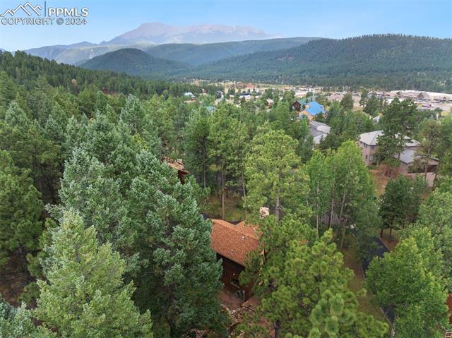 MLS Image for 350  Ponderosa  ,Woodland Park, Colorado