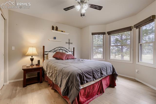 MLS Image for 16755  Oak Brush  ,Peyton, Colorado