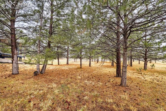 MLS Image for 16755  Oak Brush  ,Peyton, Colorado