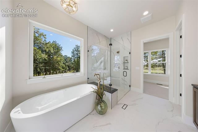 MLS Image for 10697  Alamar  ,Colorado Springs, Colorado