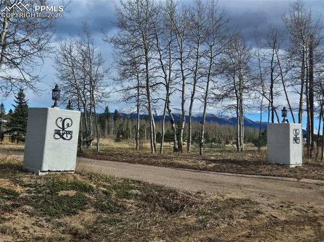 MLS Image for 78  Moss Rock  ,Divide, Colorado